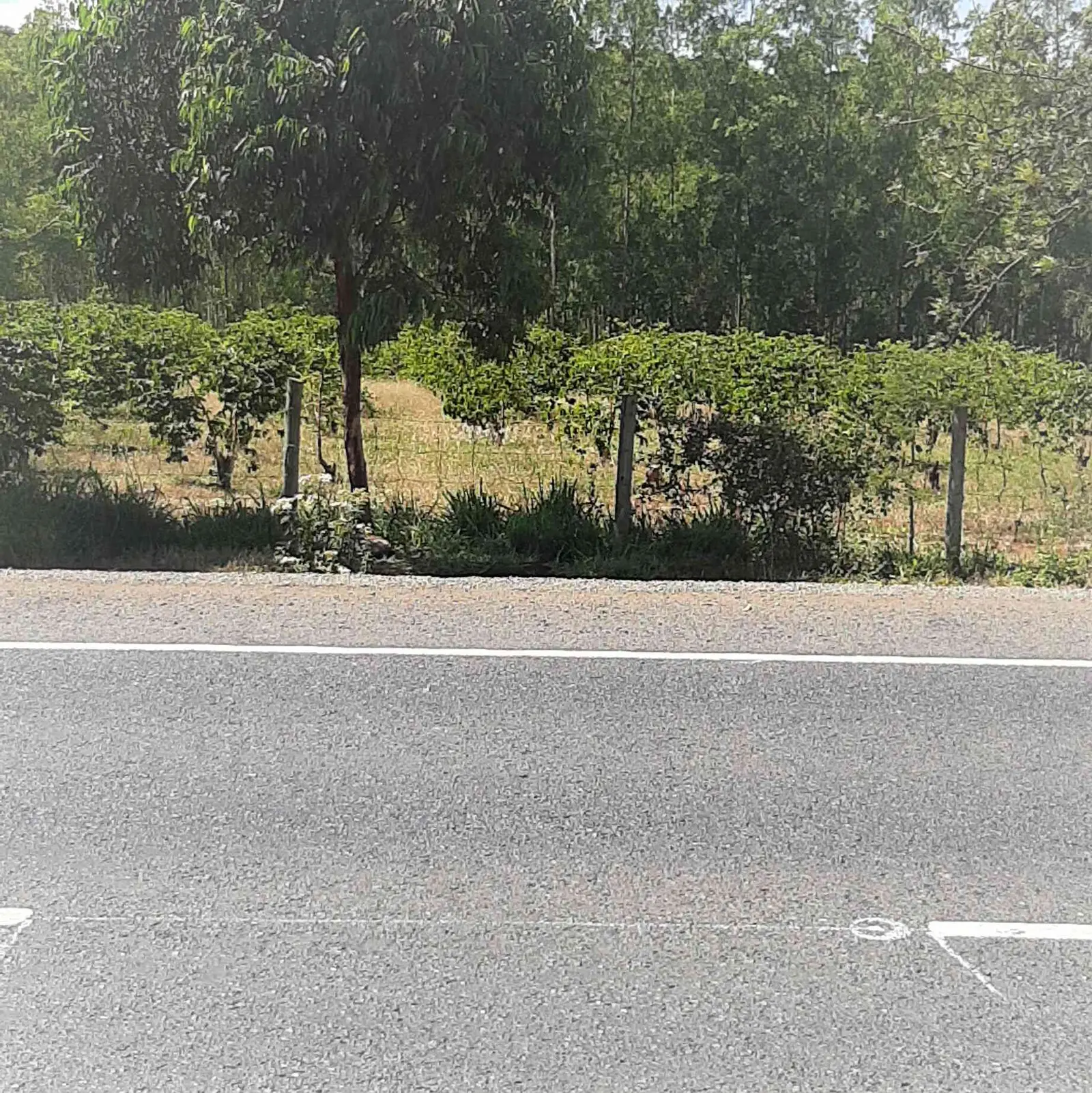 300 acres of land in Makuyu, Muranga, photo 3 of 5