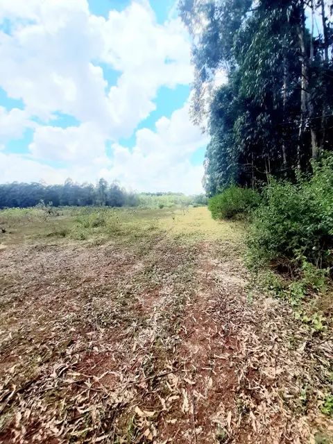 300 acres of land in Makuyu, Muranga, photo 4 of 5