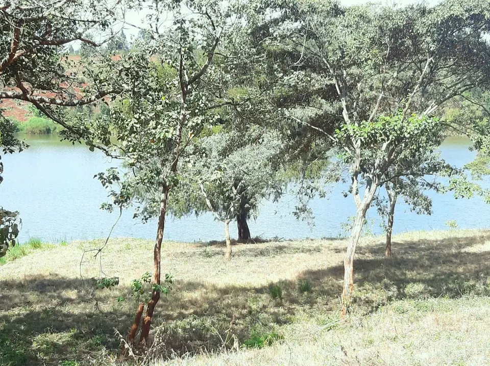 Investment opportunity 900 acres farm in Thika