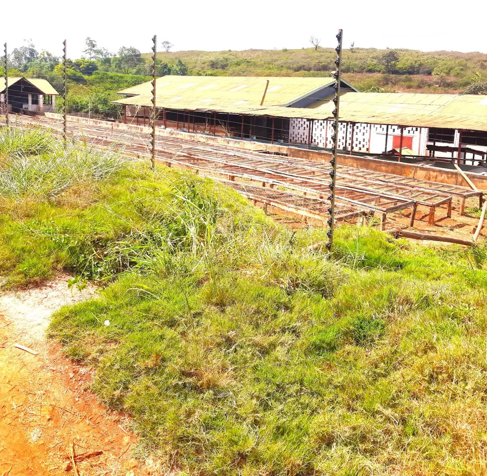 900 acres of land in Juja, Thika, photo 3 of 3