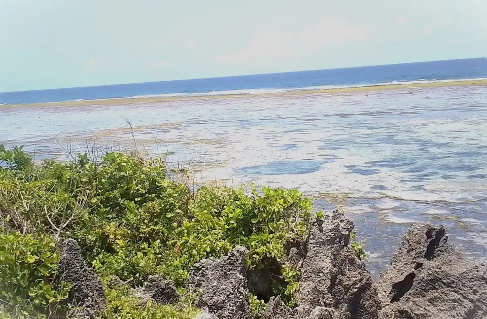 Plot in Kwale, photo 4 of 5