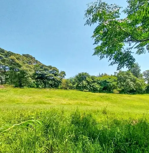 Rare 10.5 Acres in Karen prime with exceptional development upside