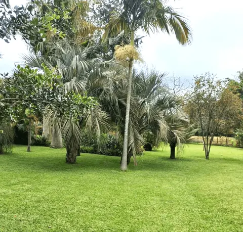 10.5 acres of land in Karen HillCrest, Karen, photo 2 of 5