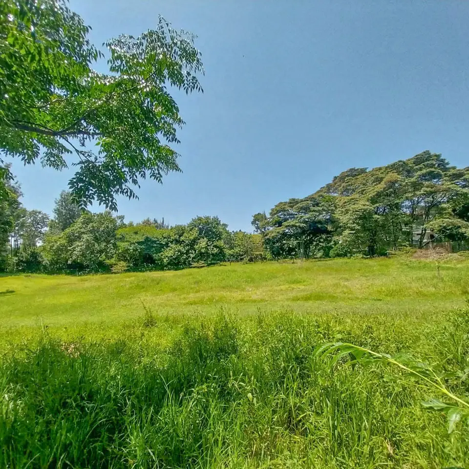 10.5 acres of land in Karen HillCrest, Karen, photo 5 of 5