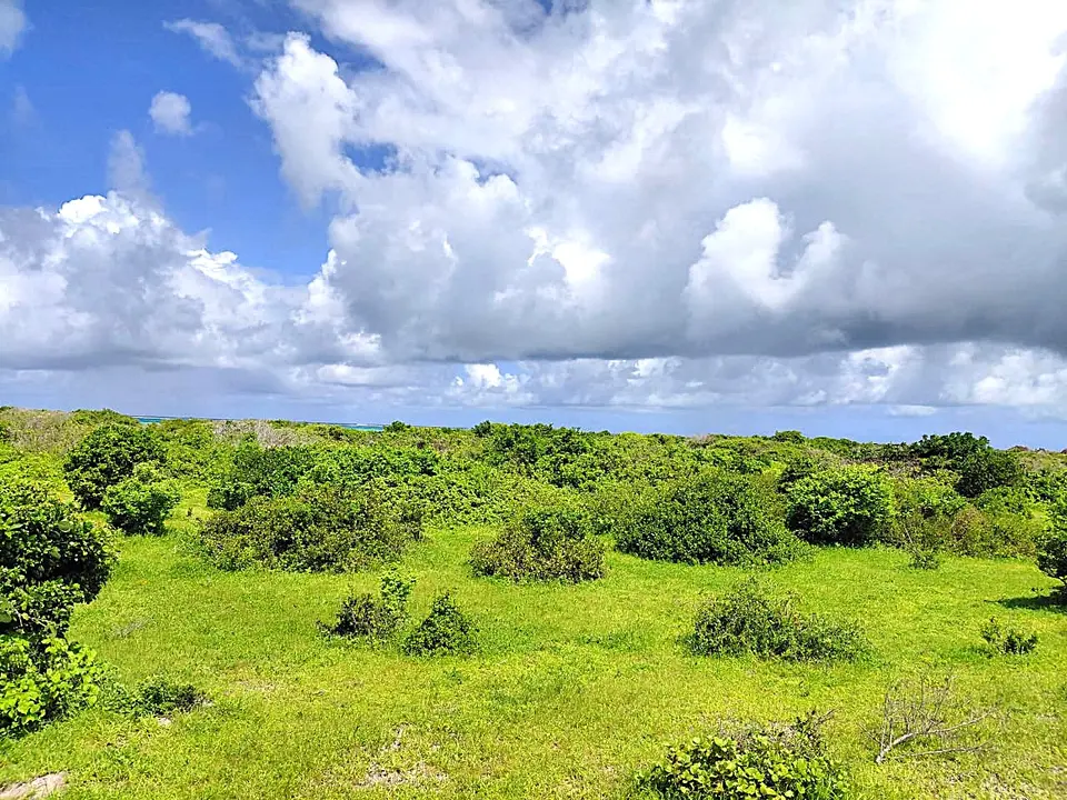 12 acres of land in Watamu, Kilifi, photo 1 of 5
