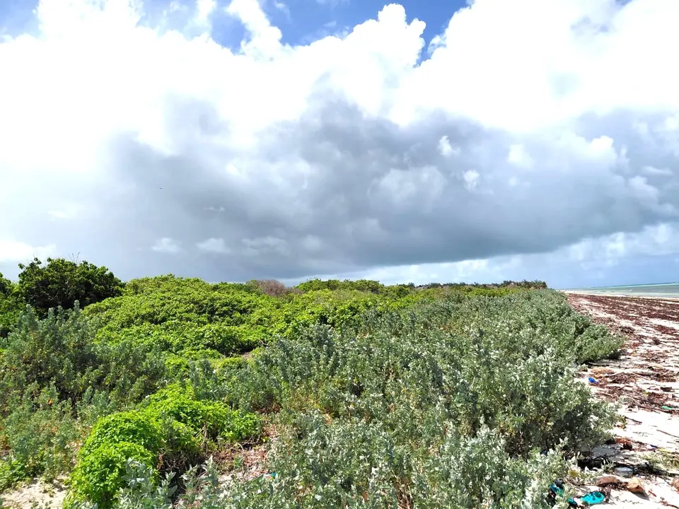 12 acres of land in Watamu, Kilifi, photo 2 of 5
