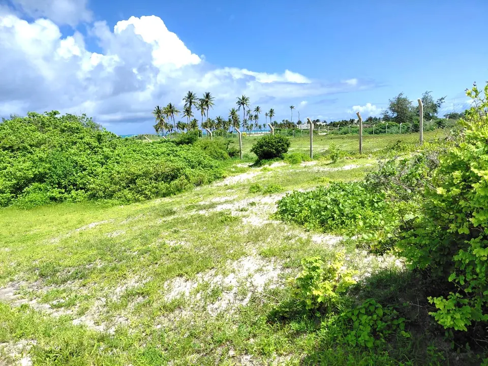 12 acres of land in Watamu, Kilifi, photo 3 of 5