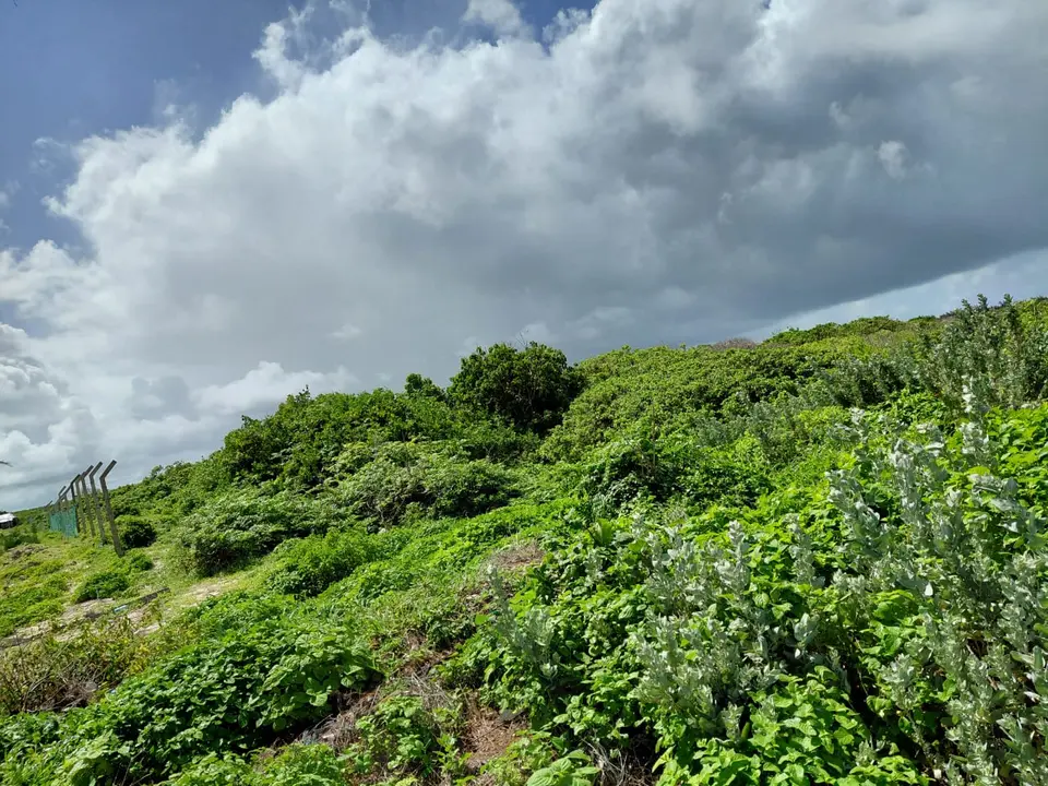 12 acres of land in Watamu, Kilifi, photo 4 of 5