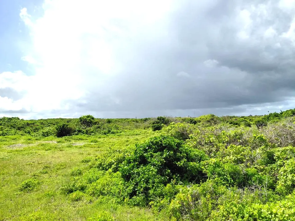 12 acres of land in Watamu, Kilifi, photo 5 of 5