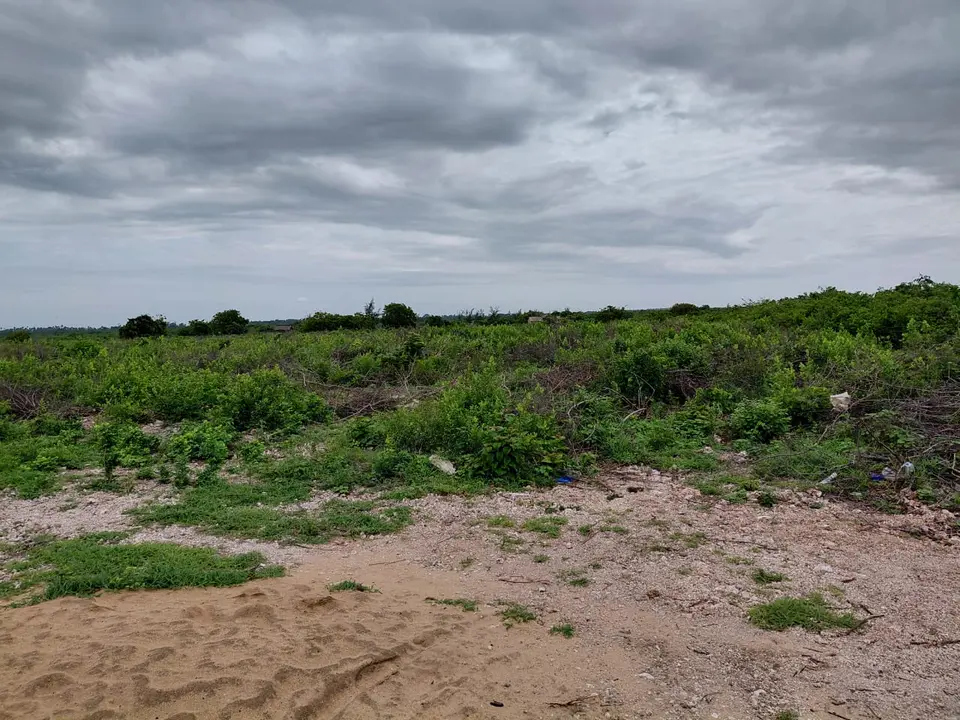 Jacaranda Watamu 12 acres coastal land primed for high-end beachfront development potential