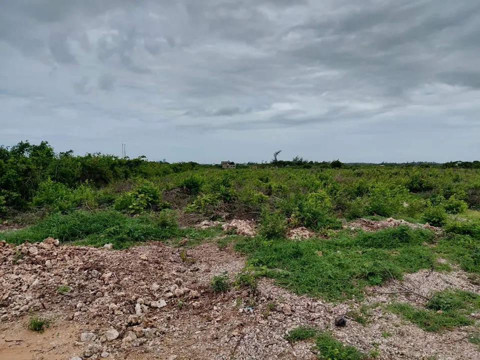 12 acres of land in Jacaranda, Watamu, photo 3 of 5