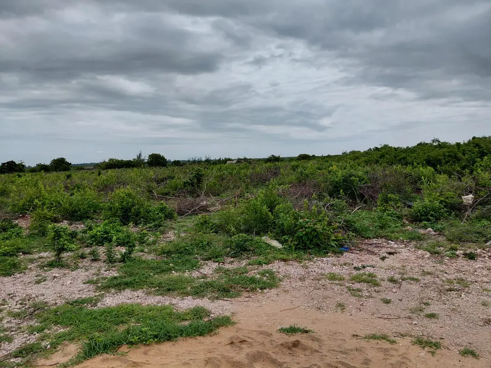 12 acres of land in Jacaranda, Watamu, photo 4 of 5