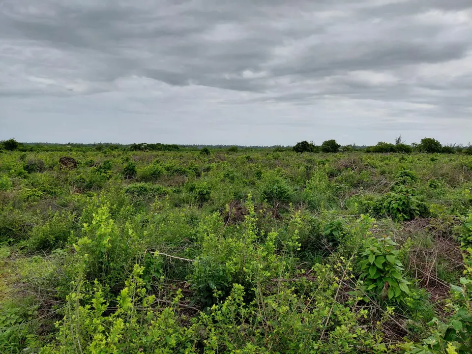 12 acres of land in Jacaranda, Watamu, photo 5 of 5