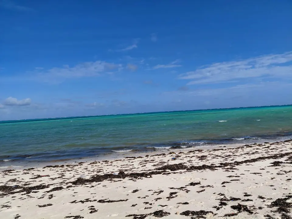 Beachfront 8 acres land Jacaranda Watamu near Indian Ocean Coast