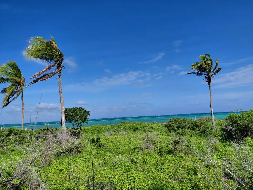 8 acres of land in Jacaranda, Watamu, photo 2 of 5
