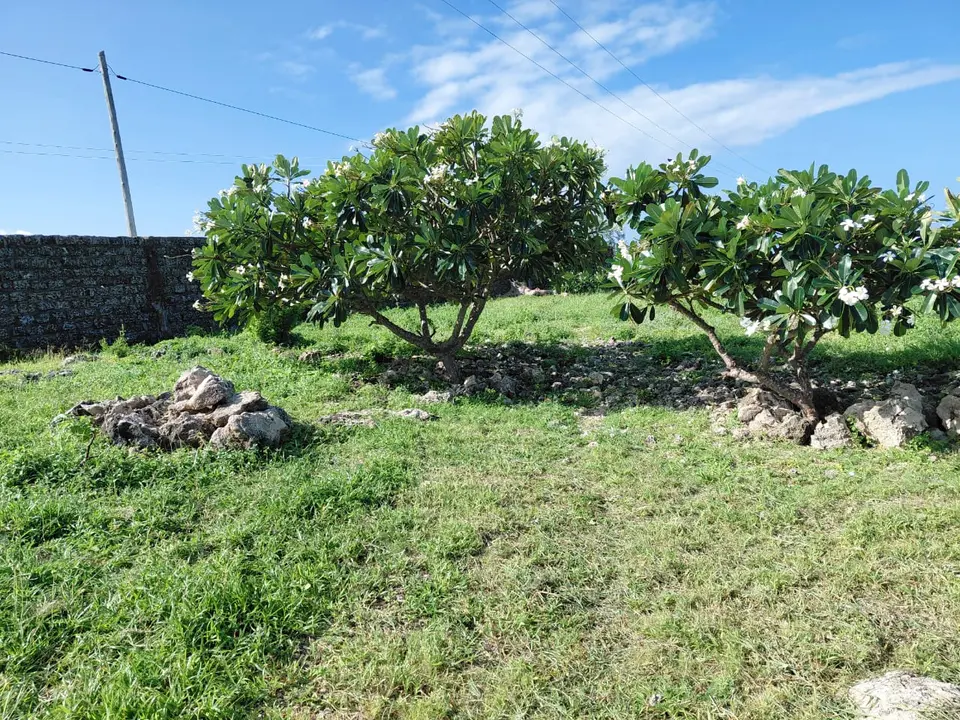 8 acres of land in Jacaranda, Watamu, photo 4 of 5