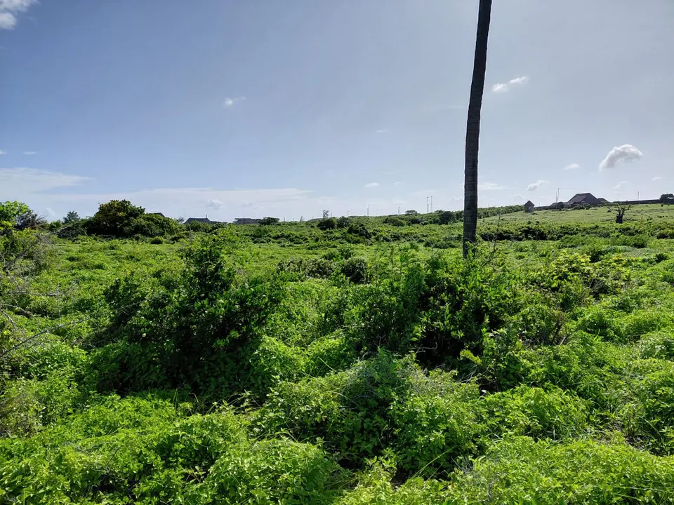8 acres of land in Jacaranda, Watamu, photo 5 of 5