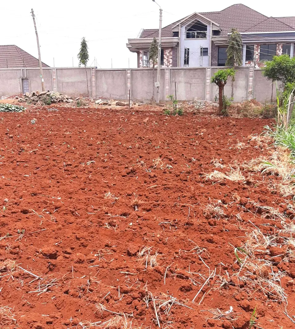 Plot in Thika Golf view area, Thika, photo 1 of 5