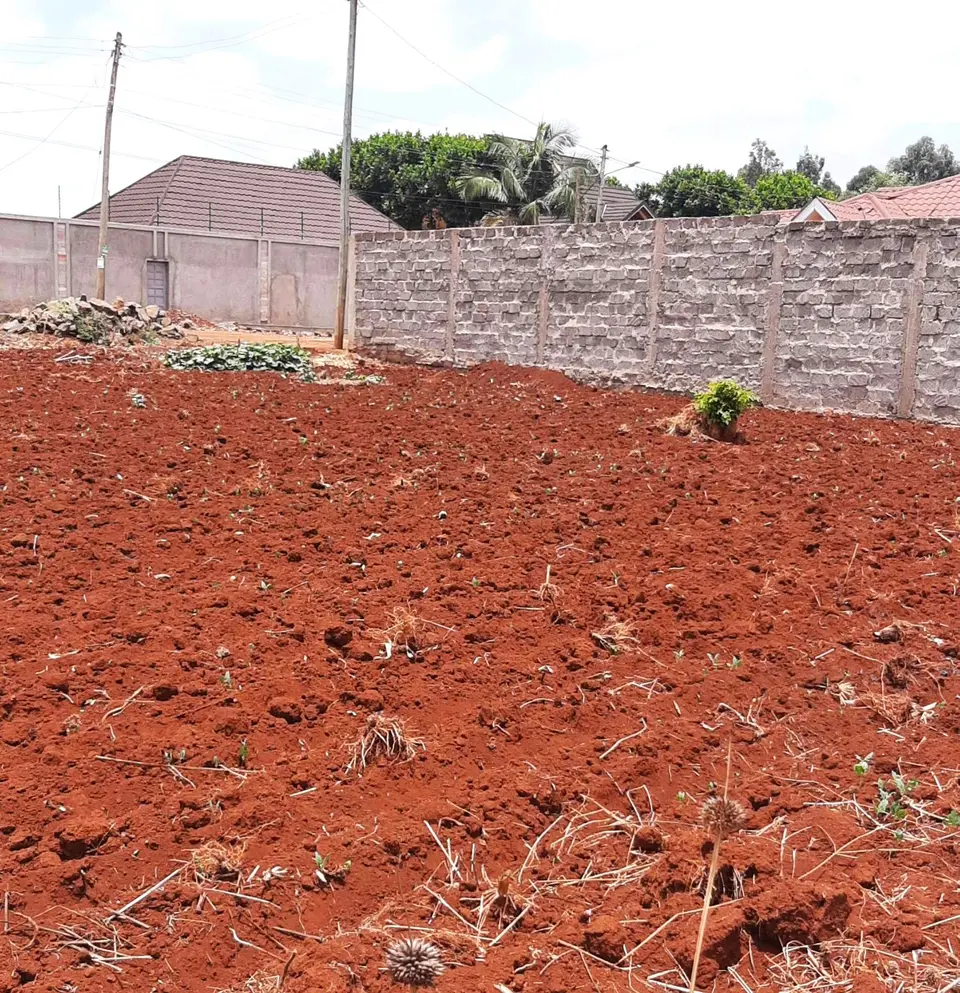 Plot in Thika Golf view area, Thika, photo 4 of 5