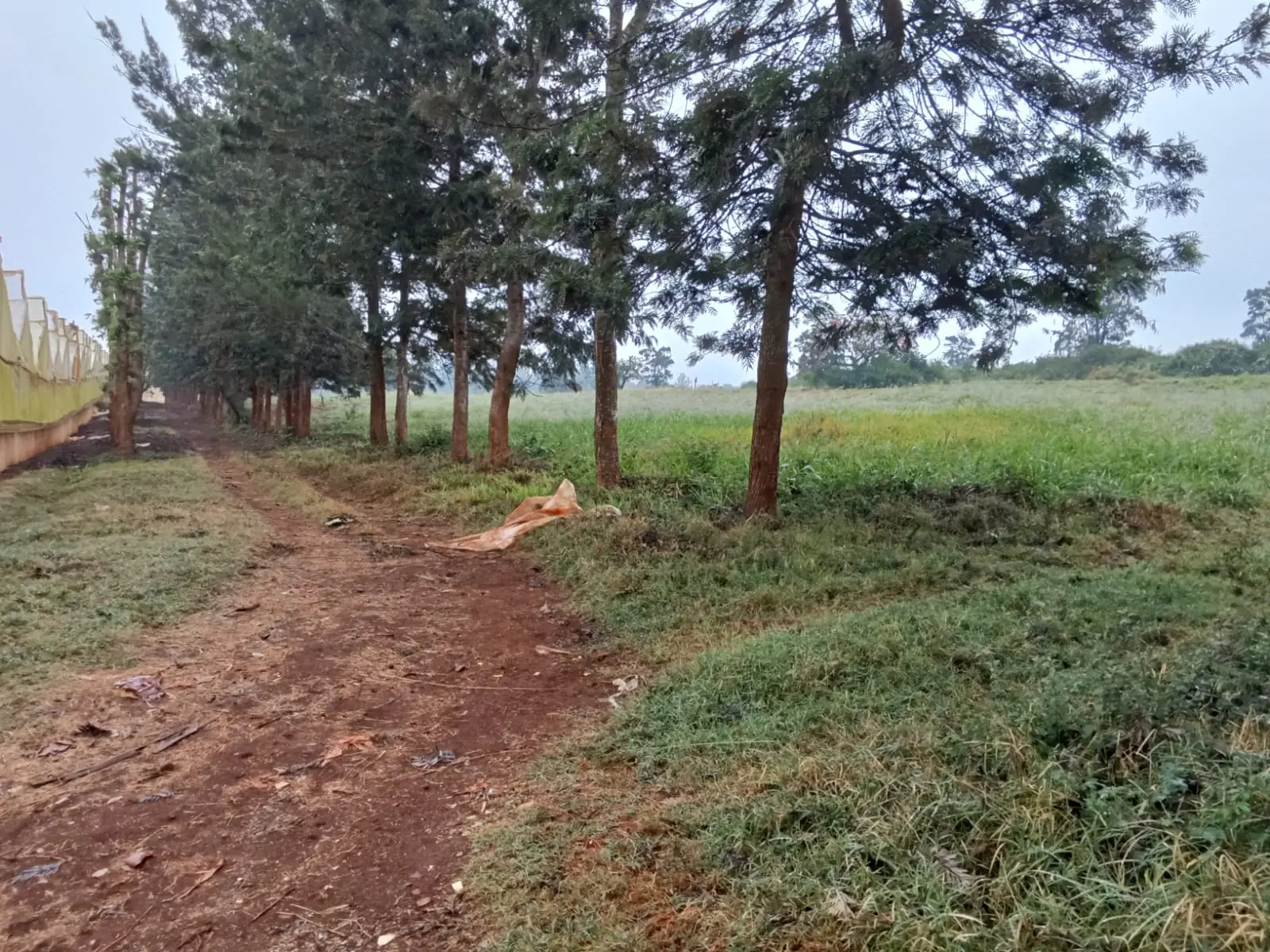 22.5 acres of land in Thika, Kiambu, photo 1 of 4