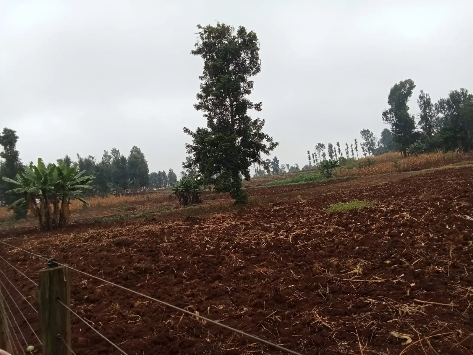22.5 acres of land in Thika, Kiambu, photo 2 of 4