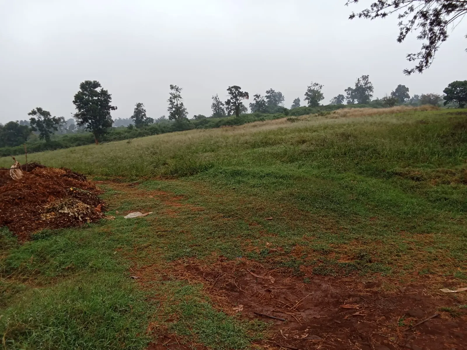 22.5 acres of land in Thika, Kiambu, photo 3 of 4