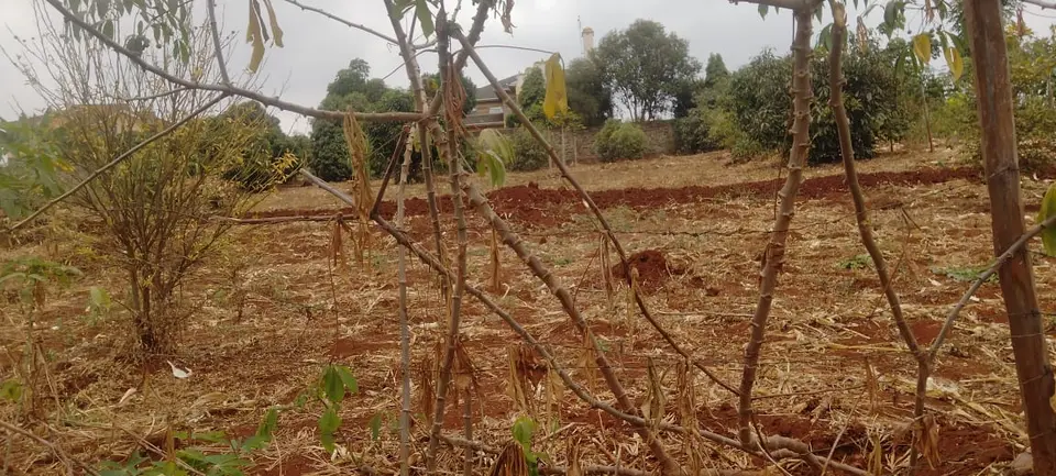 Plot in Thika, Kiambu, photo 1 of 4
