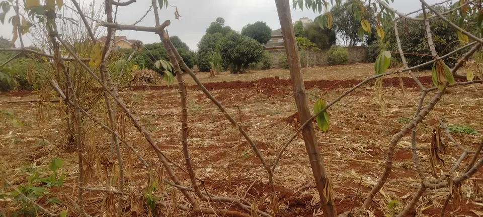 Plot in Thika, Kiambu, photo 2 of 4