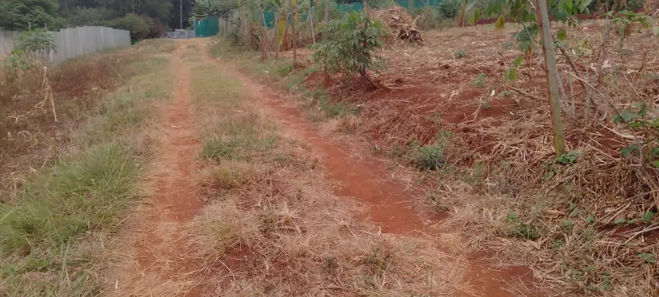 Plot in Thika, Kiambu, photo 3 of 4