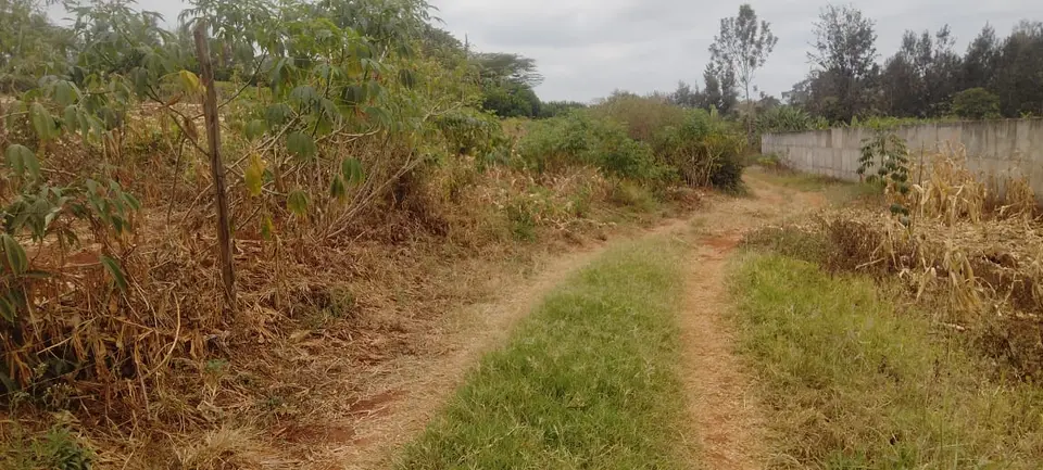Plot in Thika, Kiambu, photo 4 of 4