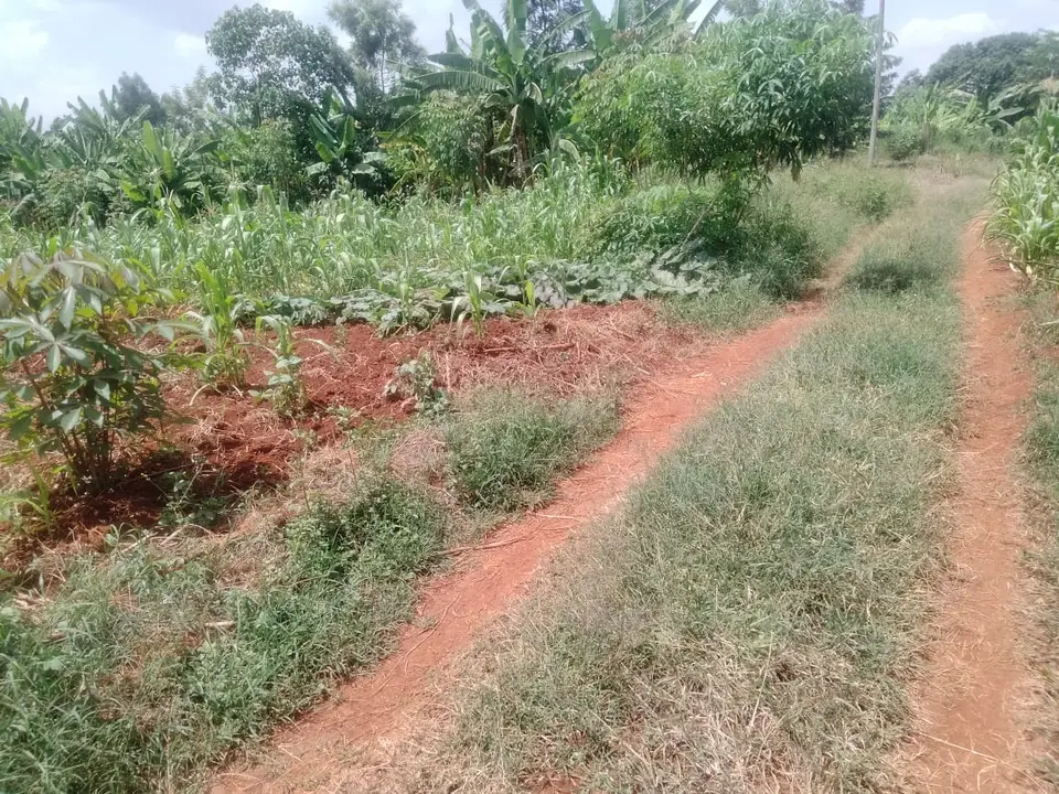 Plot in Thika, Kiambu, photo 3 of 4
