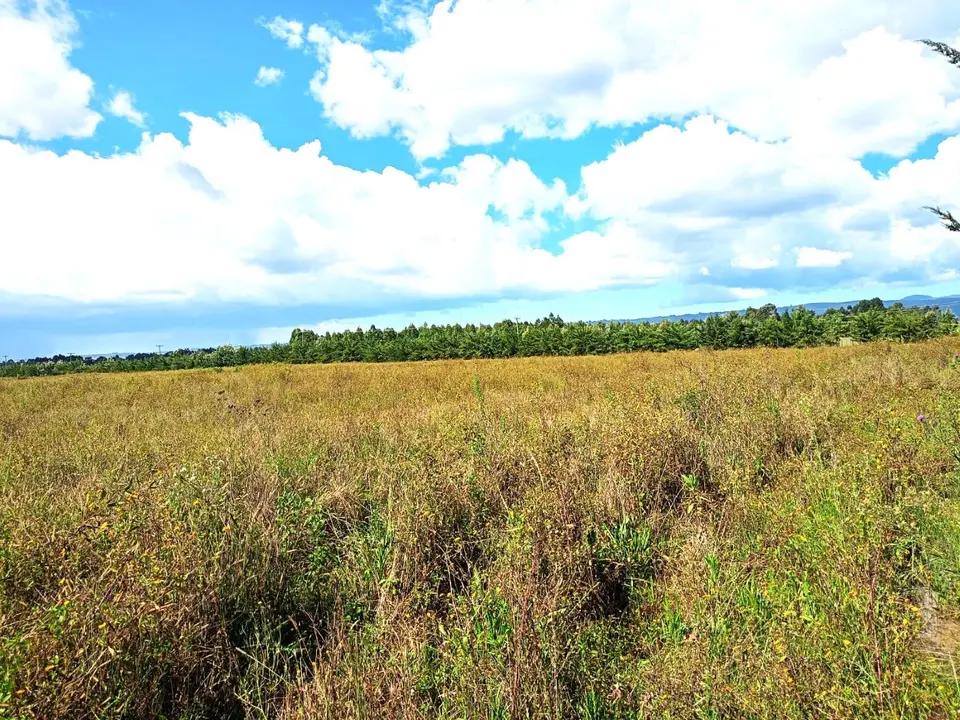 102 acres of land in Nyandarua, photo 1 of 4