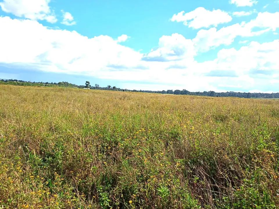 102 acres of land in Nyandarua, photo 2 of 4