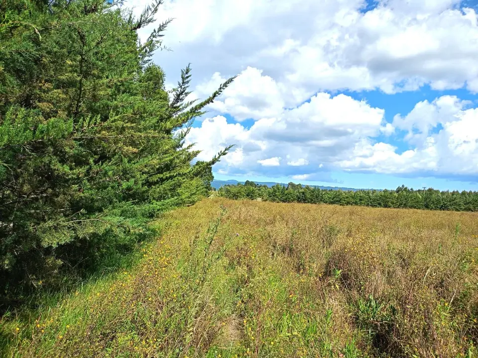 102 acres of land in Nyandarua, photo 3 of 4