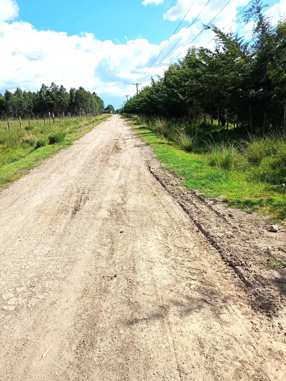 102 acres of land in Nyandarua, photo 4 of 4