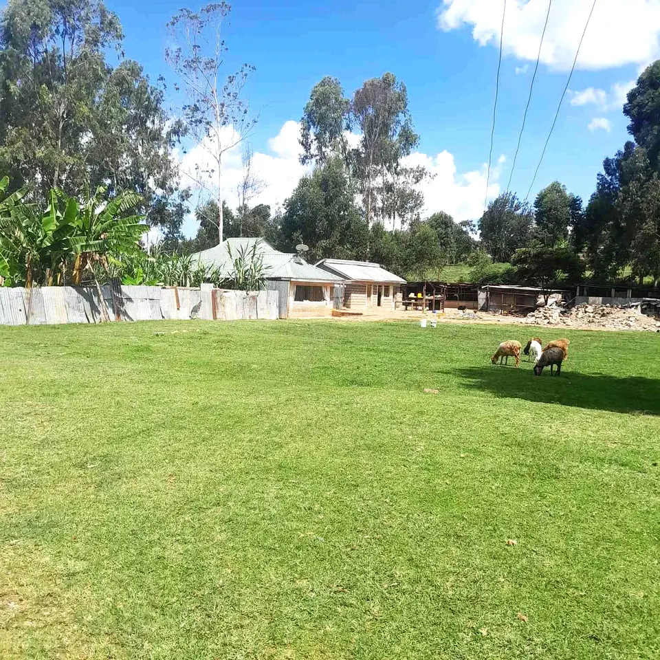 Plot in Karen Plains, Karen, photo 3 of 3