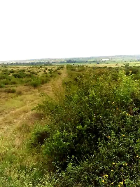 Plot in Juja, Thika, photo 1 of 5
