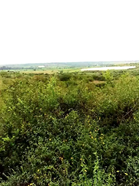 Plot in Juja, Thika, photo 2 of 5