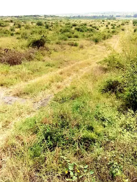 Plot in Juja, Thika, photo 4 of 5