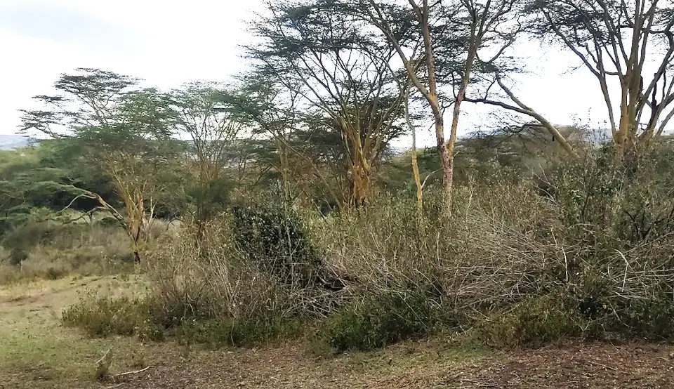 3500 acres of land in Nakuru, photo 3 of 5