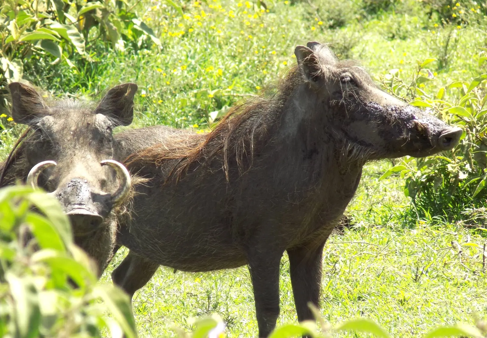 3500 acres of land in Nakuru, photo 5 of 5
