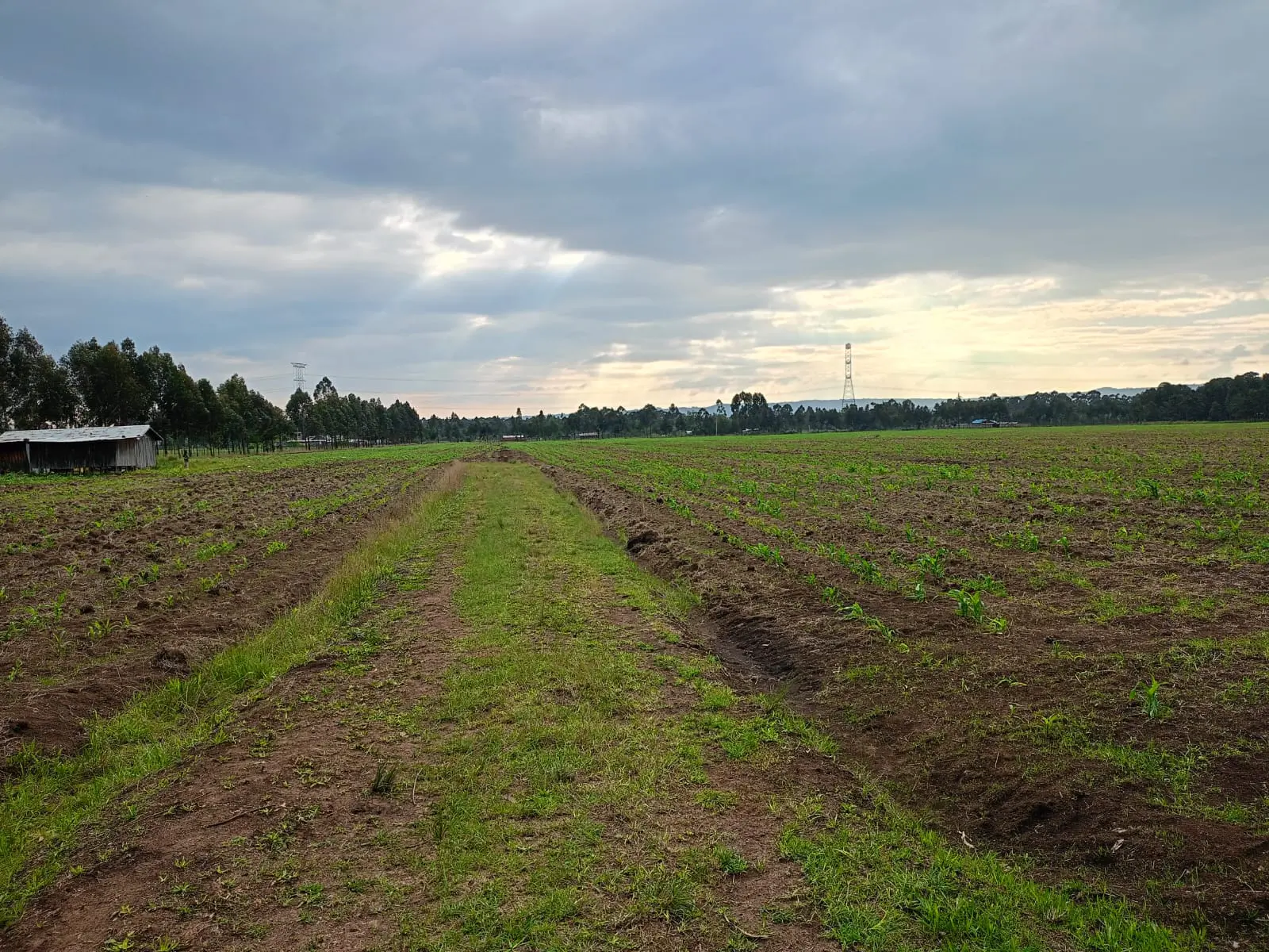 Nyandarua high altitude agribusiness investment opportunity 44 acres fertile farmland Kipipiri