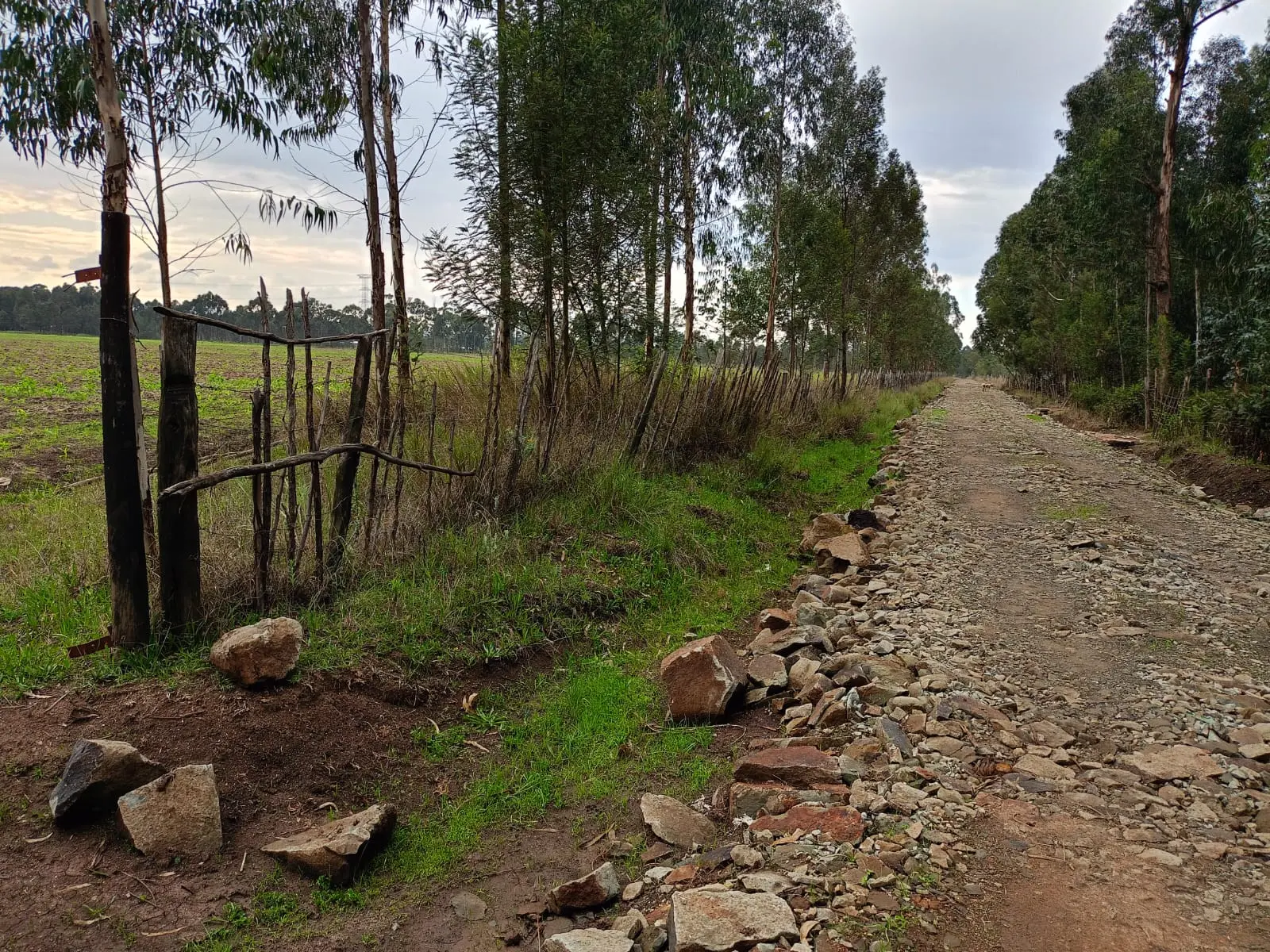 44 acres of land in Nyandarua, photo 2 of 5