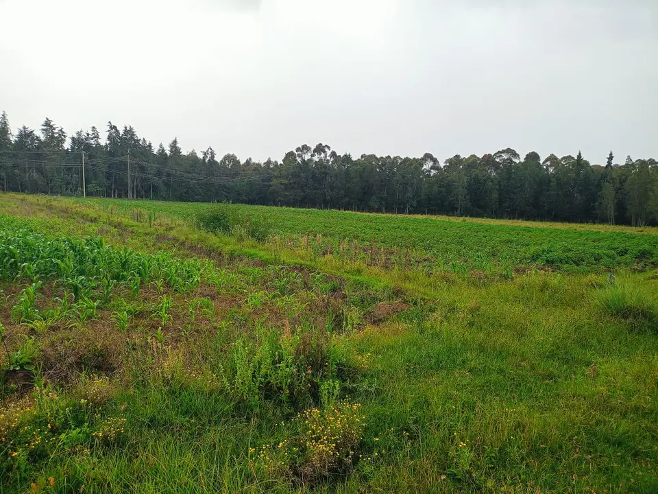 Fully developed 44 acres commercial farm in Murungaru Kinangop, high-altitude agribusiness investment