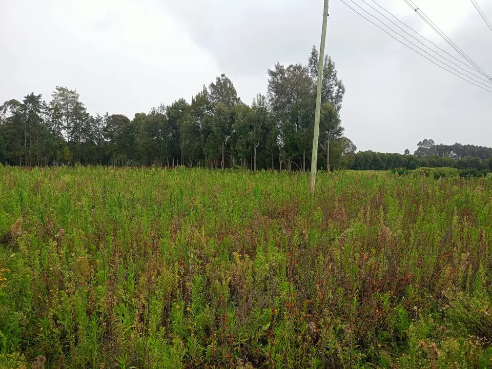44 acres of land in Nyandarua, photo 2 of 4