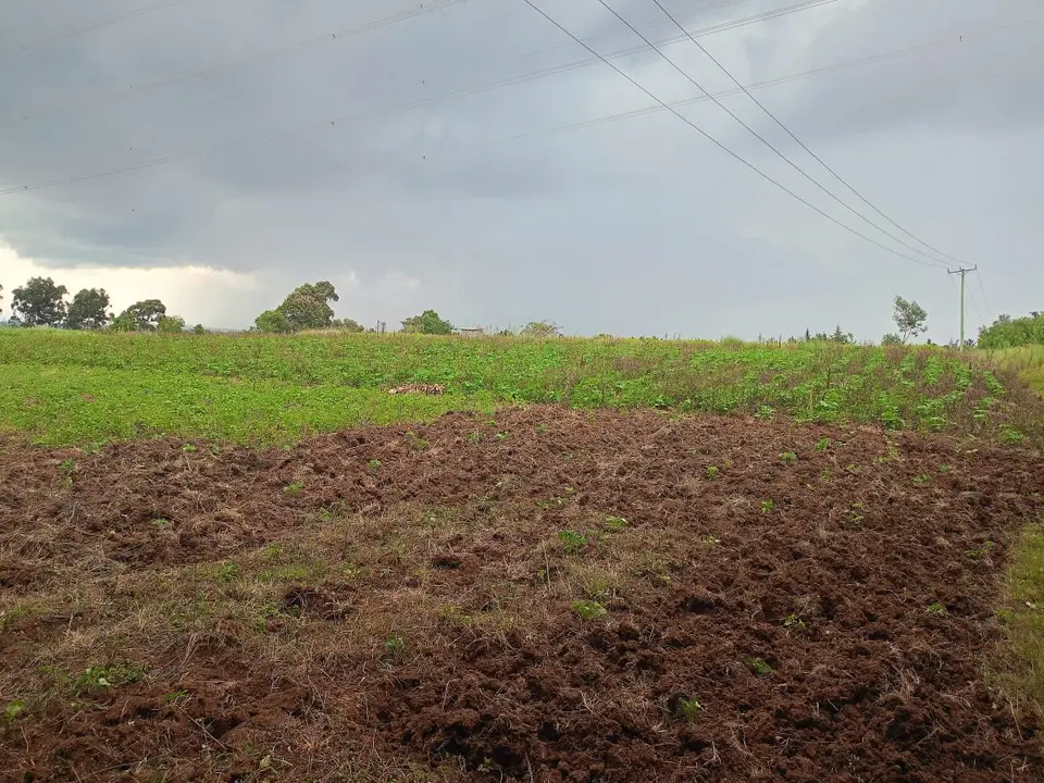 44 acres of land in Nyandarua, photo 3 of 4