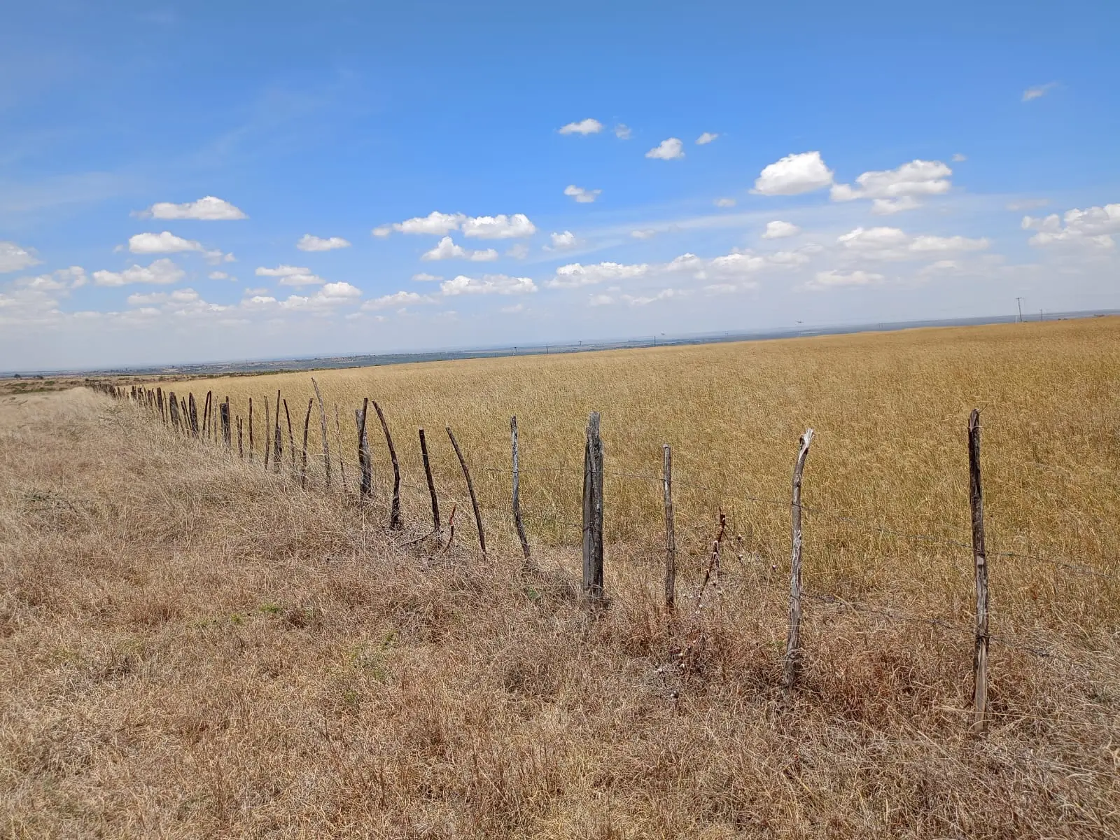 Nyandarua agricultural land 430 acres
