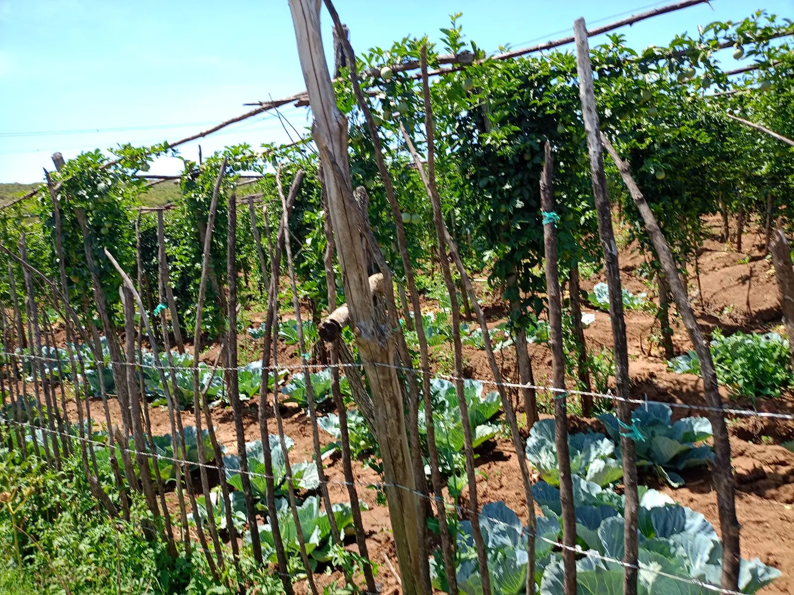 430 acres of land in Nyandarua, photo 2 of 5