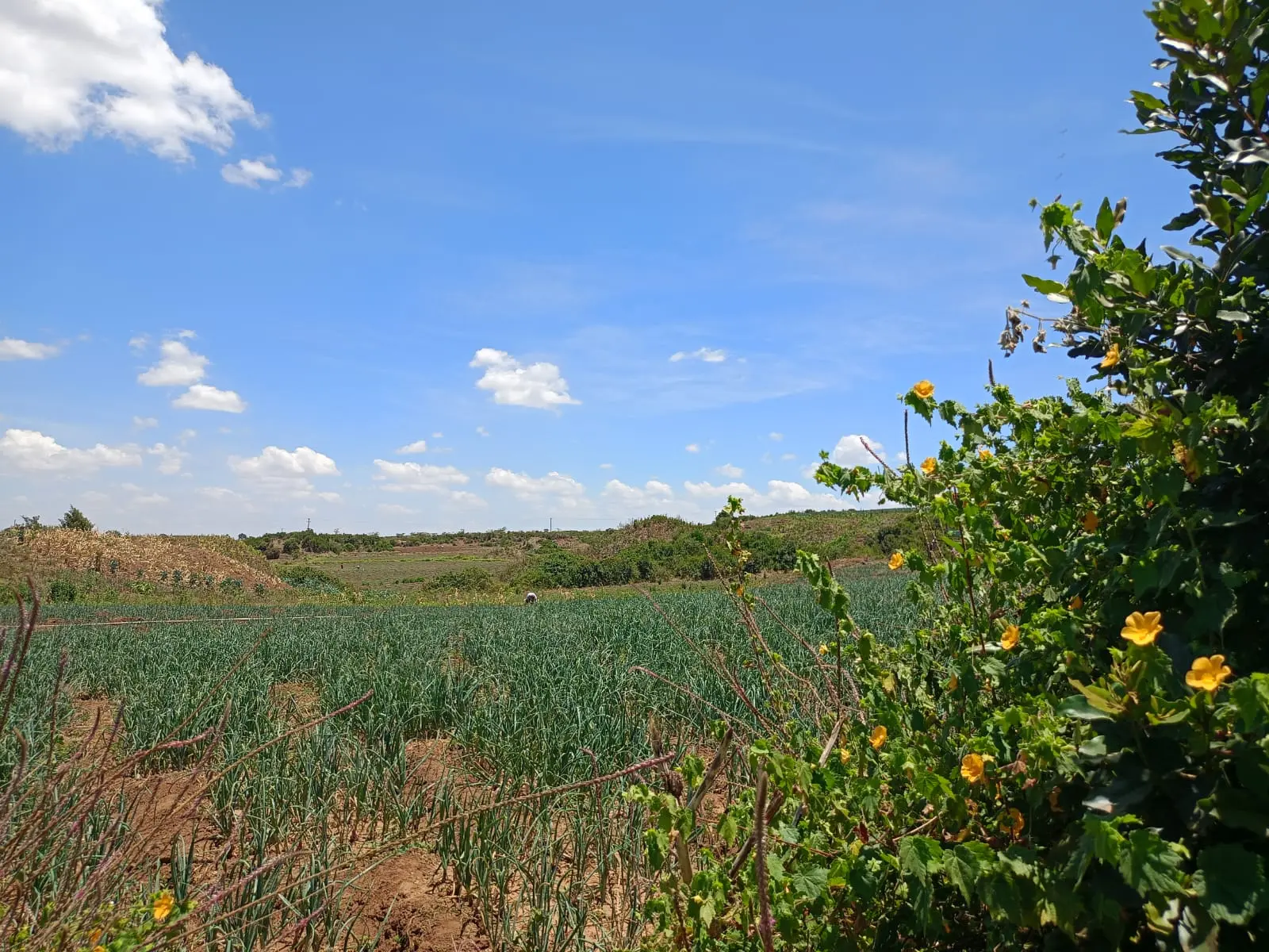 430 acres of land in Nyandarua, photo 3 of 5