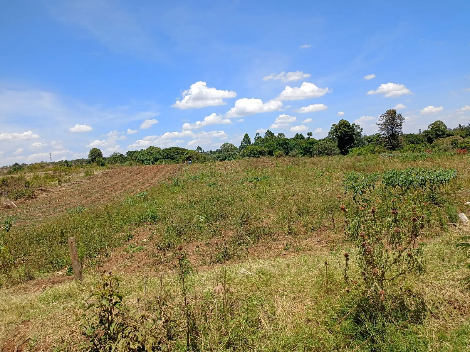 430 acres of land in Nyandarua, photo 4 of 5